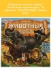 Игра настольная животные планеты Земля 40 карточек